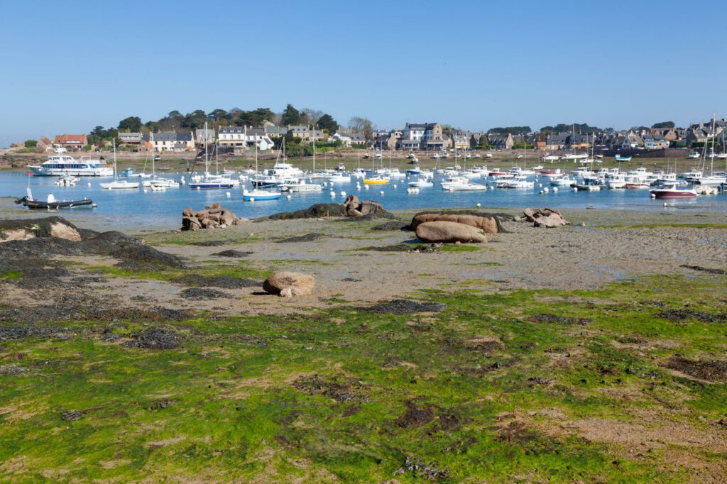 Scenic harbor at low tide in Perros-Guirec, Brittany with sailboats and lush greenery.